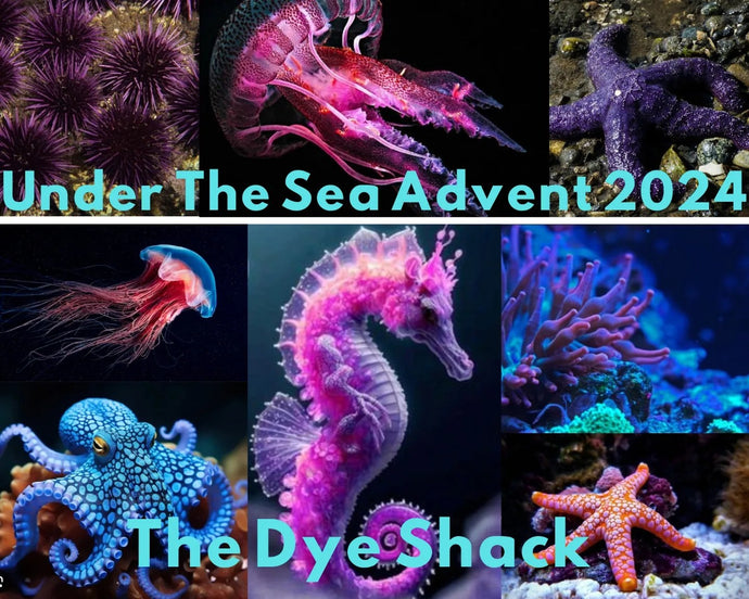 Tonal skein for the Under The Sea advent calendar PREORDER