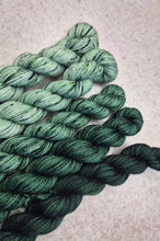 Load image into Gallery viewer, The Colour Club , 2026 yarn club spares
