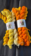 Load image into Gallery viewer, The Colour Club , 2026 yarn club spares