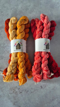 Load image into Gallery viewer, The Colour Club , 2026 yarn club spares