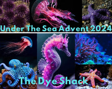 Load image into Gallery viewer, Under The Sea DAILY Advent Calender PREORDER installment option