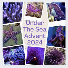 Load image into Gallery viewer, Under The Sea DAILY Advent Calender PREORDER full payment