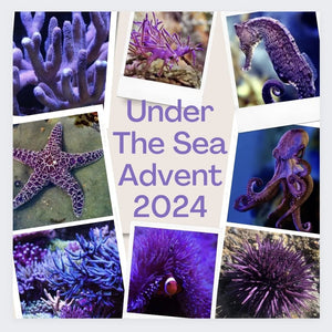 Under The Sea DAILY Advent Calender PREORDER full payment