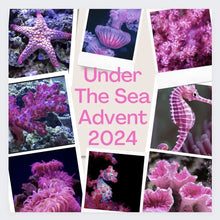Load image into Gallery viewer, Under The Sea 10g fade pack